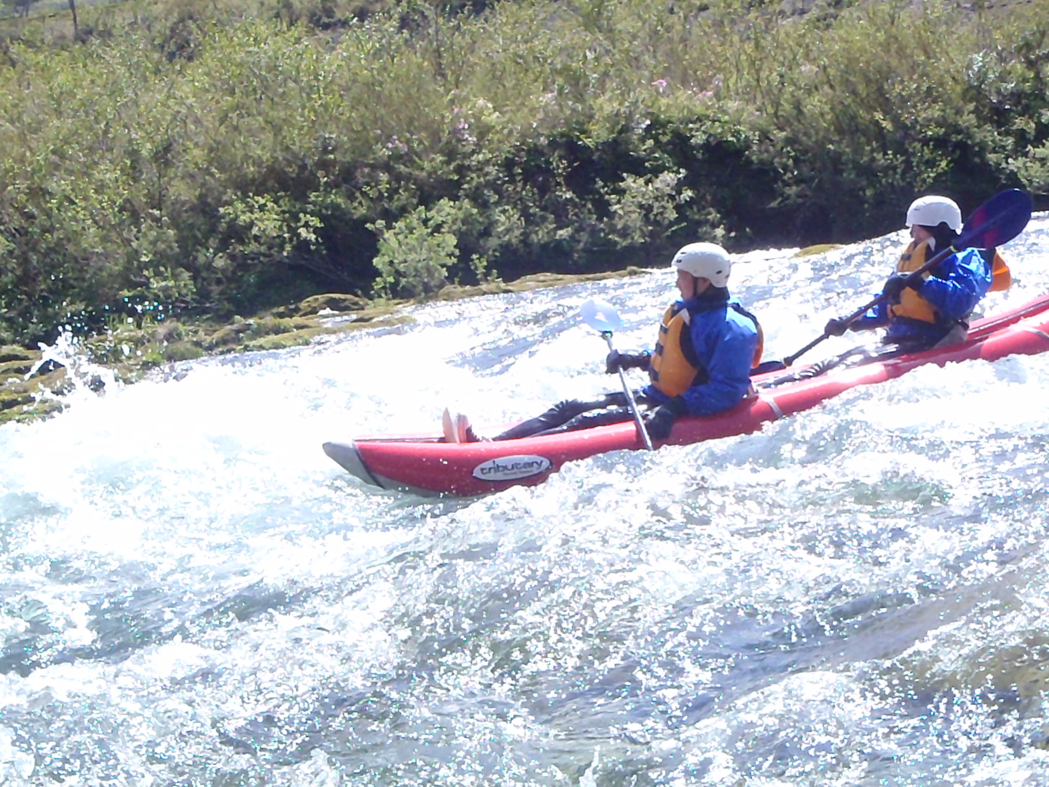 ダッキーコース